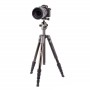Trepied fibre de carbone + Tete a bille  multi-action Vanguard VEO-2-235-CB