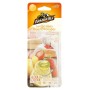 AIR FRESHENER DIFFUSER 2.5ML LEMON BERRY GAA18599