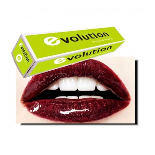 Monomérique Vinyl Matt 100/L140gr 1.37*50m Evolution