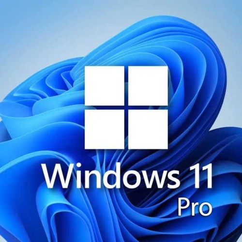 Microsoft Windows 11 Professionnel 64 bits (français)