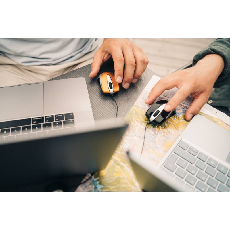 Souris optique de voyage Go Mini VERBATIM 49020