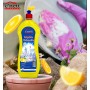 C'NETT LIQUIDE VAISSELLE 650ML