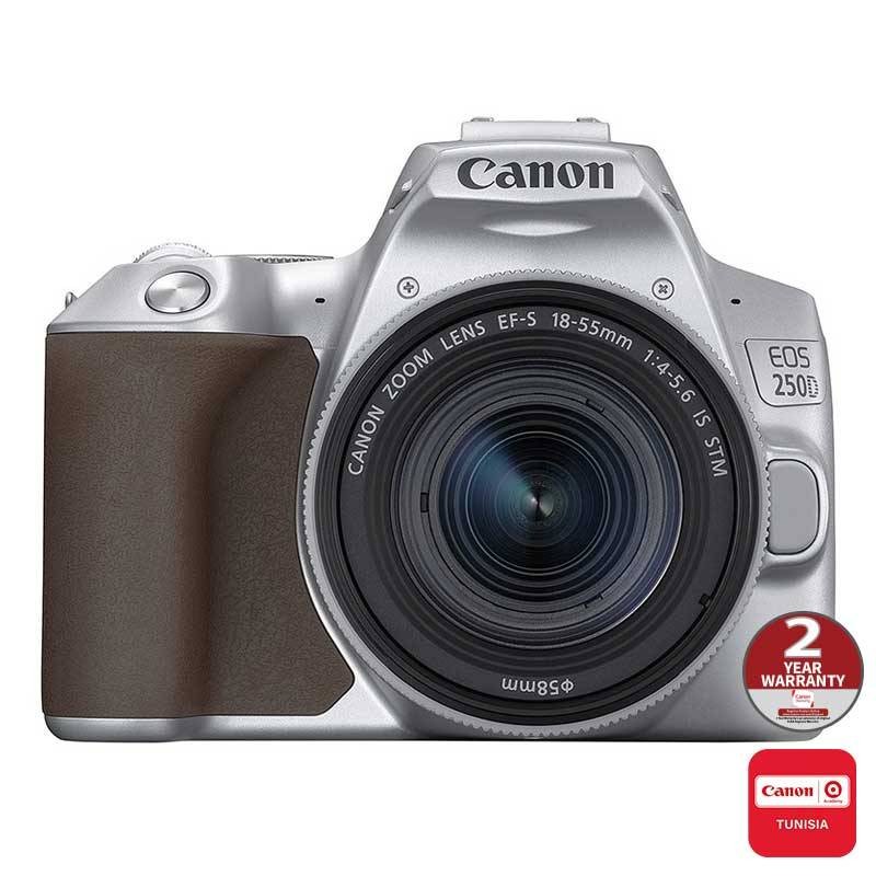 Reflex Canon EOS 250D | 4K | + EF 18-55mm IS STM | silver