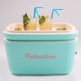 GLACIÈRE Portable Polarbox - 20L - Vintage - Turquoise
