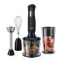 Mixeur plongeant 3 en 1 Desire Russell hobbs 24700-56 black