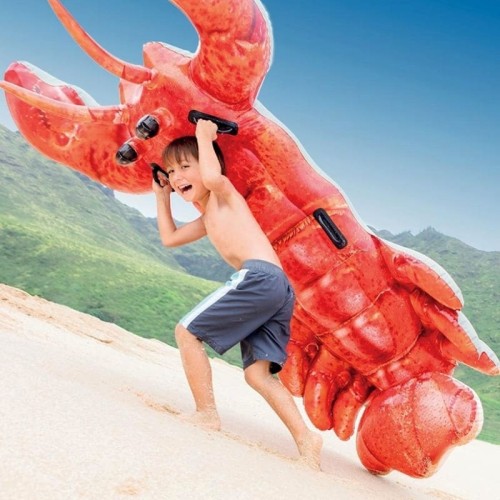 Bouée Gonflable Homard Intex 57533