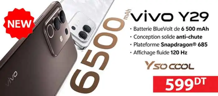 Smartphone Vivo Y29 8Go 256Go 599dt Smartphone Vivo Y29 8Go 256Go 599dt